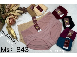 QUẦN THIÊN PHÁT 843 - LỐC 10 CÁI MÀU